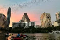 Austin Bat Bridge Kayak Tour thumbnail 2