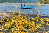 Seward Resurrection River Rafting Tour thumbnail 3