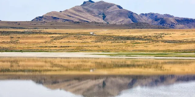 Antelope Island Wildlife Expedition - Image 2