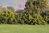San Francisco Landmarks Private Sightseeing Tour thumbnail 2