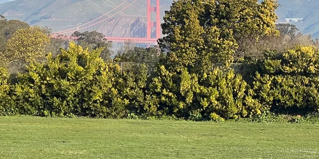 San Francisco Landmarks Private Sightseeing Tour - Image 2