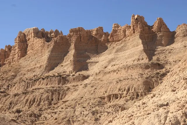 Badlands Wildlife Expedition - Image 6