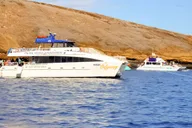 Maui Molokini & Turtle Town Snorkel Tour 5 hr thumbnail 3
