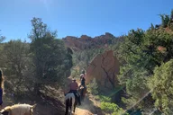 Utah Horseback Ride Half Day thumbnail 6