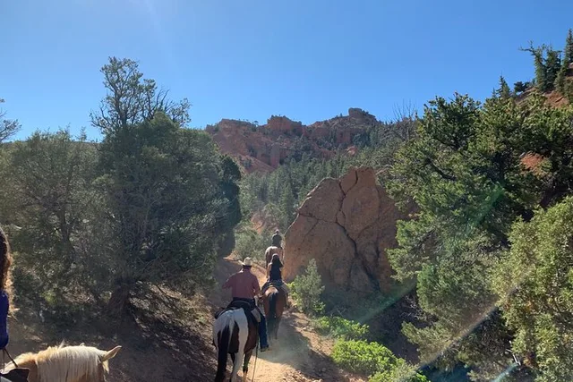 Utah Horseback Ride Half Day - Image 6
