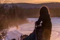 Fairbanks Dog Sledding on the Yukon Quest Trail thumbnail 6
