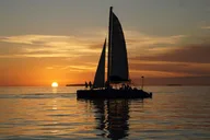 Key West Dolphin Watch and Sunset Sail thumbnail 6