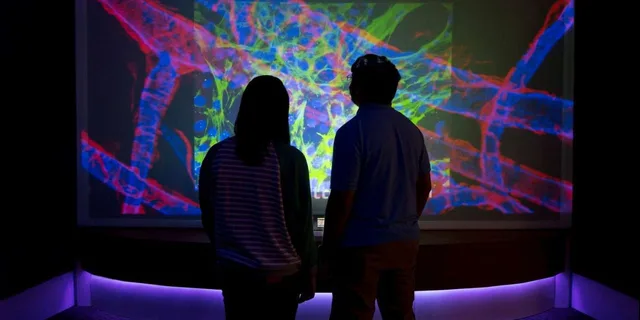 Boston CityPASS: 4 Attractions - Image 4