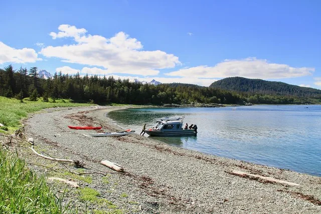 Juneau Kayak Adventure with Whales - Image 6