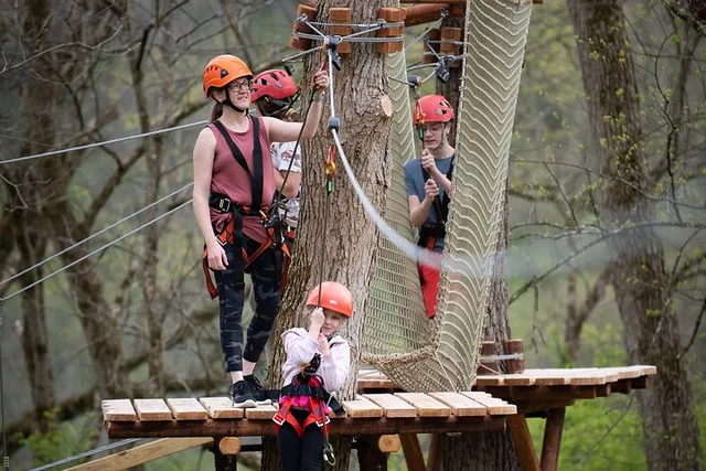 Lexington Aerial Adventure in the Trees 2 hr - Image 2