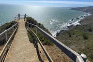 San Francisco City and Muir Woods Private Tour 7 hr thumbnail 5