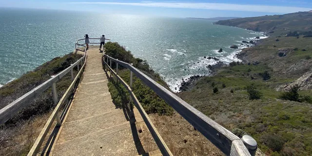 San Francisco City and Muir Woods Private Tour 7 hr - Image 5
