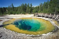 Yellowstone Park Private Full Day Tour thumbnail 6