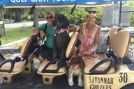 Savannah Bonaventure Cemetery Golf Cart Tour 1 hr thumbnail 3