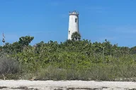 Gulfport Private Snorkeling and Dolphin Tour 4.5 hr thumbnail 3