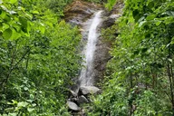 Juneau Rainforest and Waterfalls Trek thumbnail 1