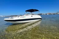 Florida Boat and Dolphin Watching Tour 2 hr thumbnail 1