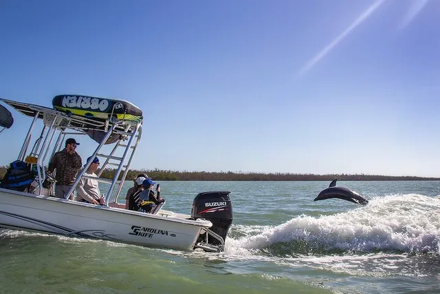 Marco Island Dolphin Watching and Tubing Adventure - Image 3