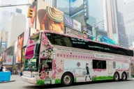 New York City Tea Bus Tour with Live Entertainment thumbnail 1