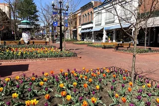 Boulder Walking Tour