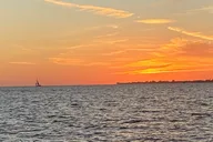 Fort Myers Dolphin Tour for 7 People 2 hr thumbnail 2