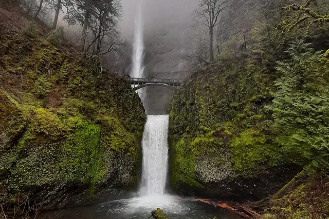 Portland Waterfalls and City Tour - Image 6