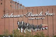 St. Louis Beer Whiskey Wine Tasting Experience thumbnail 2