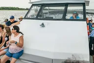Savannah Tybee Island Dolphin Tour thumbnail 2
