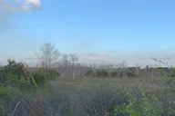 Everglades Safari-Style Jeep Tour thumbnail 4