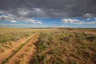 Cody Wild Mustang Tour - Private Half Day thumbnail 2