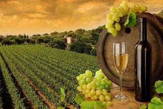 San Francisco Private Wine Tour with Custom Case