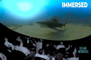 Catalina Island Immersive Movie Experience