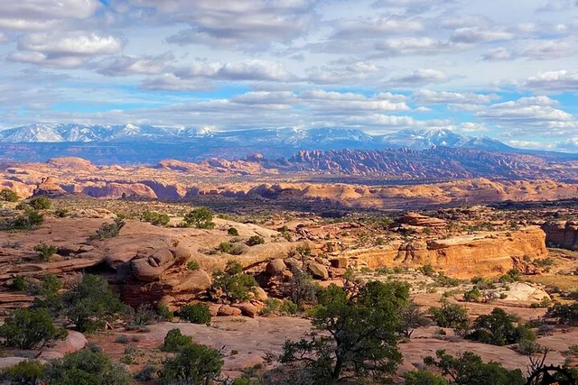 Moab Mountain Biking Tour at Dead Horse Point 4 hr - Image 2