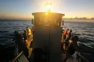 Key West Night Fishing Trip thumbnail 5
