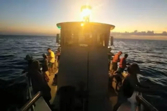 Key West Night Fishing Trip - Image 5