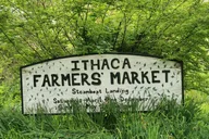 Ithaca Cultural Walking Tour thumbnail 4