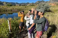 Denver Bird Watching Tour thumbnail 1