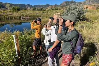 Denver Bird Watching Tour