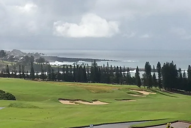 Maui Ocean and Winery Tour - Image 4