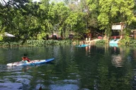Austin Glass Bottom Kayak Tour with Olympian thumbnail 2
