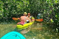 Key West Clear Kayak Rental Mangroves & Wildlife 2 hr thumbnail 2