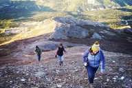 Denali Hiking Tour with Naturalist Guide 5 hr thumbnail 4