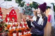 Ithaca Walking Tour of Yuletide Delights thumbnail 3