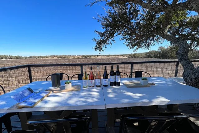 Fredericksburg Private Wine Tour - Image 6