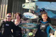 Crystal River Manatee Snorkel Tour thumbnail 6