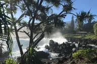 Maui Halfway to Hana Private Tour 4 hr thumbnail 3