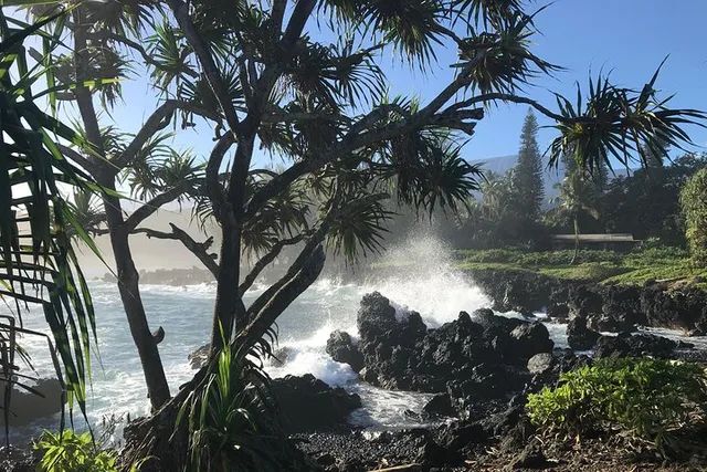 Maui Halfway to Hana Private Tour 4 hr - Image 3