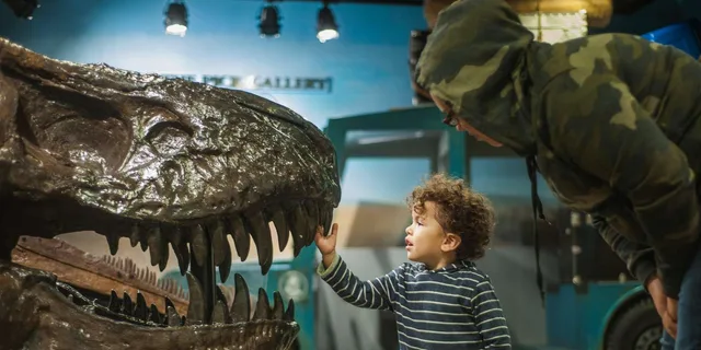 Chicago Children's Museum Entry Ticket - Image 1