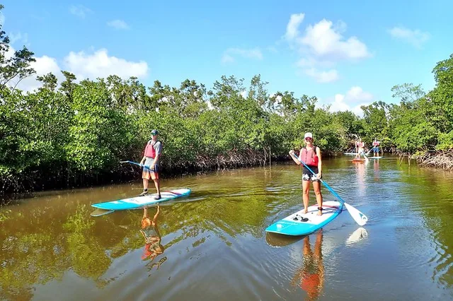 Fort Lauderdale Mangrove SUP Safari 2 hr - Image 3