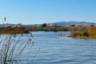 Napa Valley Self-Guided Kayak Tour thumbnail 5